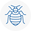 Bed Bug Extermination In Treorchy